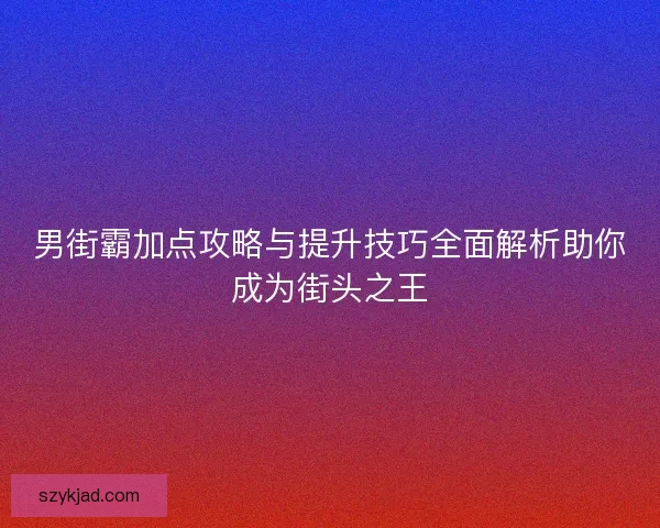 男街霸加点攻略与提升技巧全面解析助你成为街头之王