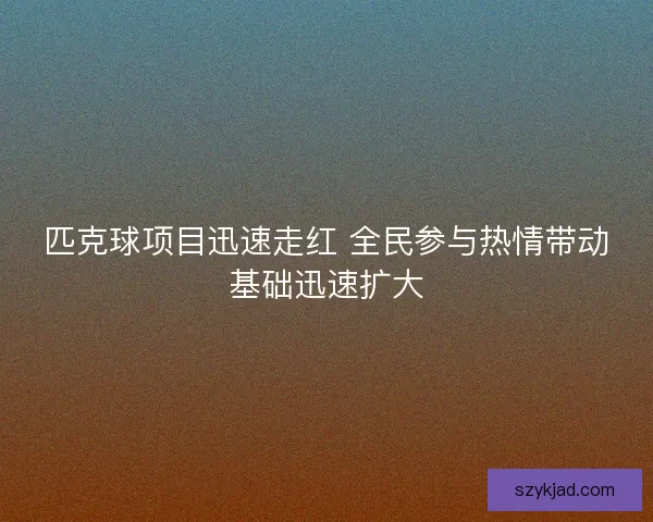 匹克球项目迅速走红 全民参与热情带动基础迅速扩大